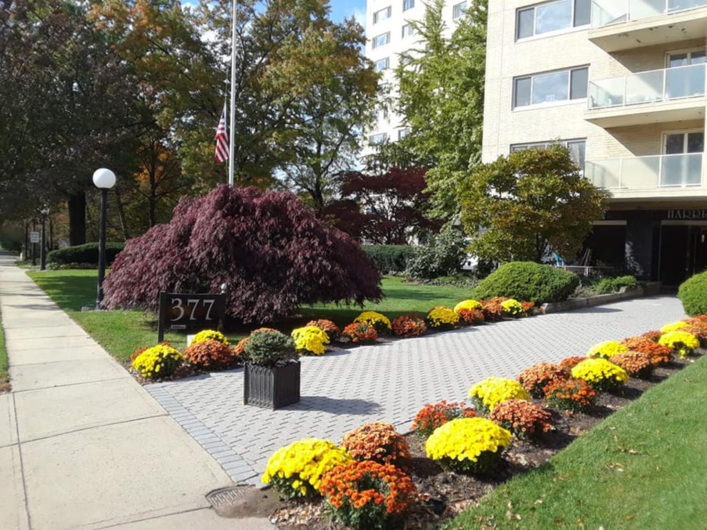 Location – Harrison Park Towers